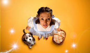 Read more about the article The Wizard of Oz at Birmingham Repertory Theatre on Wednesday, January 16th – Saturday, January 27th