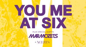 Read more about the article You Me At Six @ O2 Academy Birmingham, on Thursday November 22nd