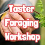 TASTER Foraging Workshop near Waseley (Worcestershire)